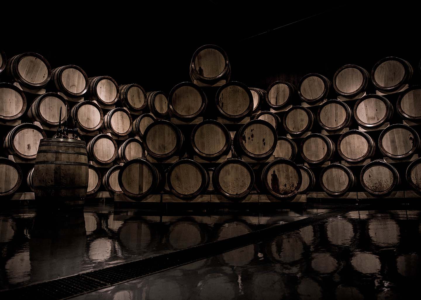 What Is Wine Oxidation? The Wine Oxidation Process